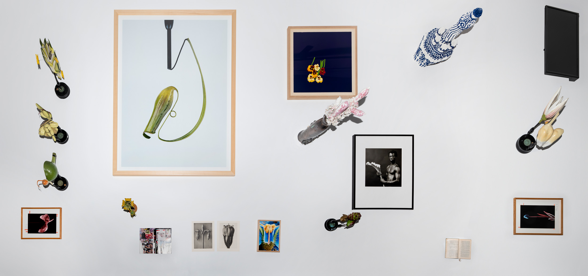 BIO28 exhibition design, Architecture, Studio Sadar