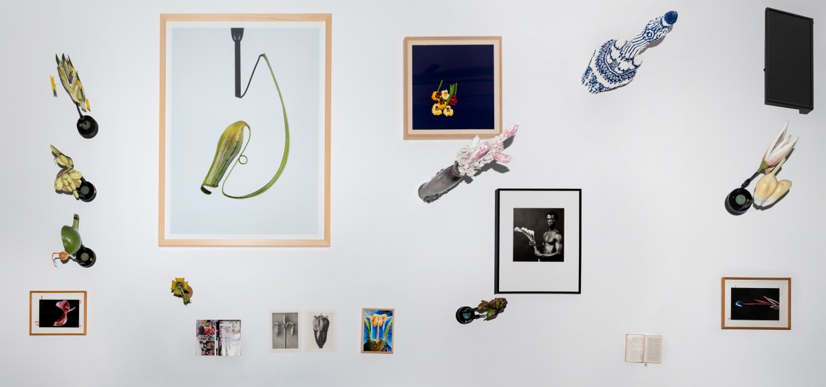 BIO28 “Double Agent: Do You Speak Flower?”&nbsp;Exhibition